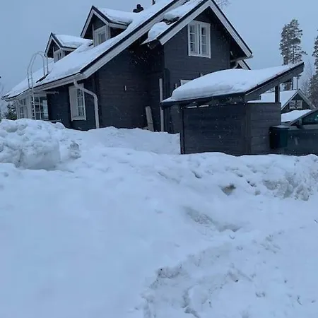 Riihitonttu Riihivuori *