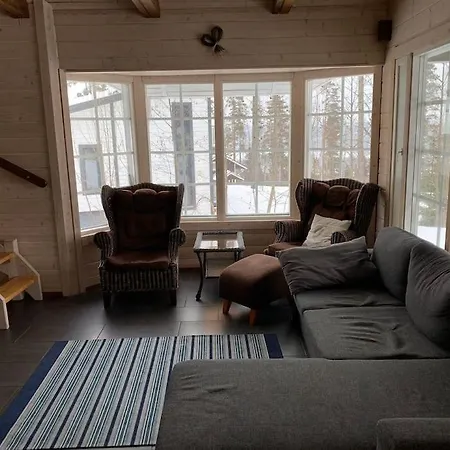 Riihitonttu Riihivuori Муураме