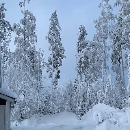 Riihitonttu Riihivuori Vila